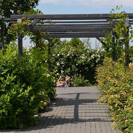 B&B “De Boerlarij” Ruinerwold エクステリア 写真