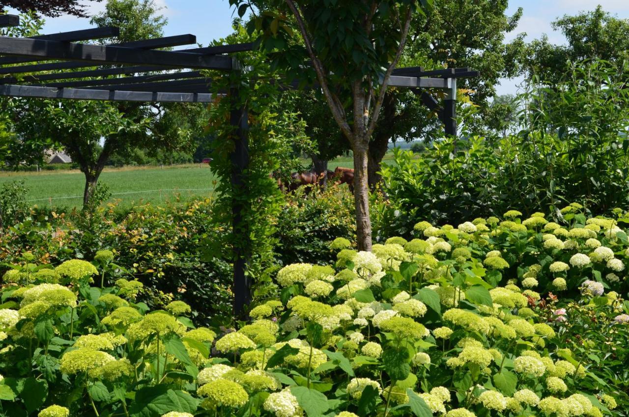 B&B “De Boerlarij” Ruinerwold エクステリア 写真